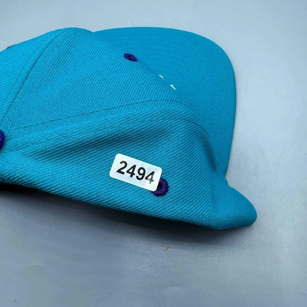 Charlotte Hornets x Air Jordan‎ Hat Men Blue Purple Jumpman Snap Back Cap